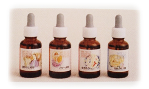 マウントフジフラワーエッセンス フォーミュラー